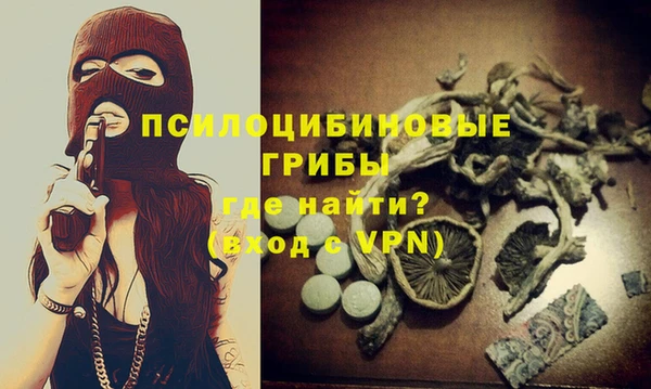 мдпв Зеленодольск