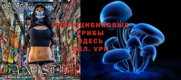 мдпв Зеленодольск
