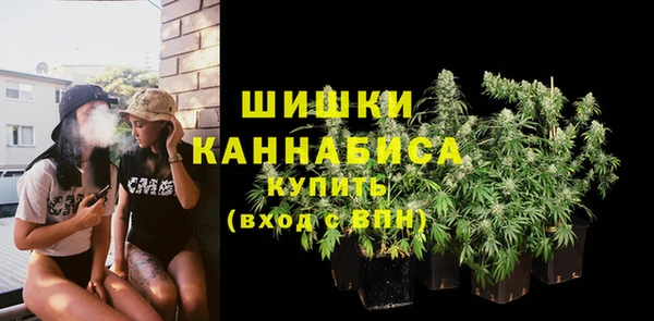 мдпв Зеленодольск