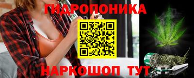 стафф Краснодар