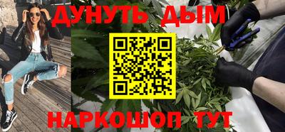 стафф Краснодар