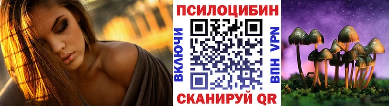 Галлюциногенные грибы Psilocybe  как найти наркотики  Калач-на-Дону 