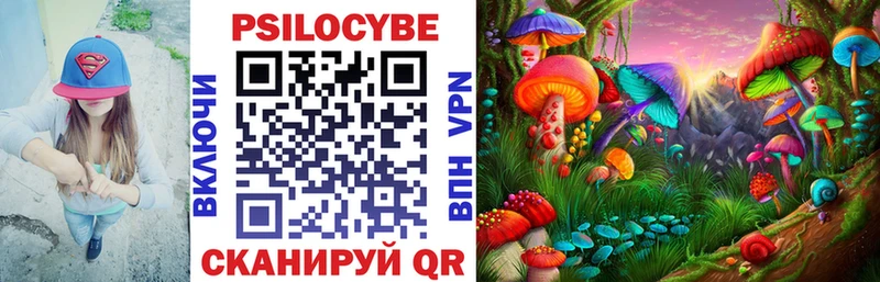 Галлюциногенные грибы мицелий Калач-на-Дону